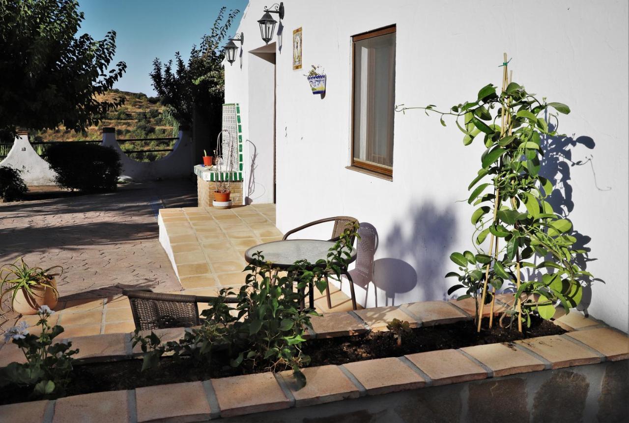 Finca La Meica Bed&Breakfast Casabermeja Kültér fotó